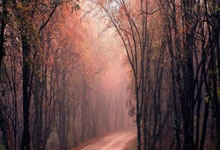 瑞典意外被阿尔巴尼亚淘汰，小组赛告捷