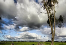 国安主场告捷，连胜势头不减