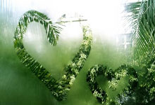 克罗地亚足球队在欧洲杯赛事中备受赞誉