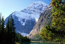 猛龙迎战人，谁能笑到最后？