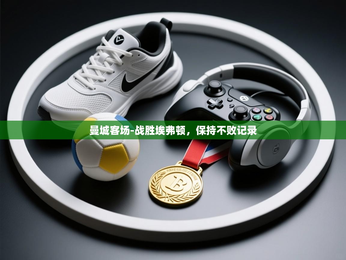 曼城客场-战胜埃弗顿，保持不败记录  第1张