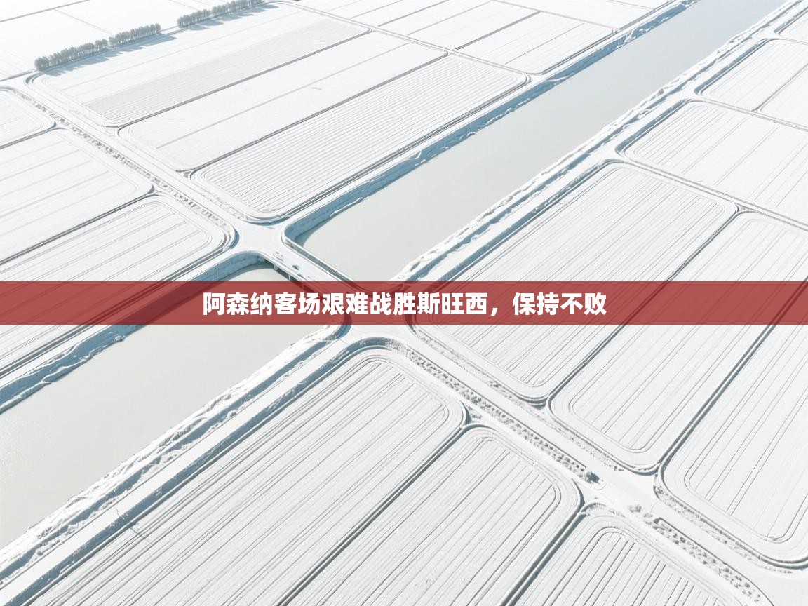 阿森纳客场艰难战胜斯旺西，保持不败  第2张