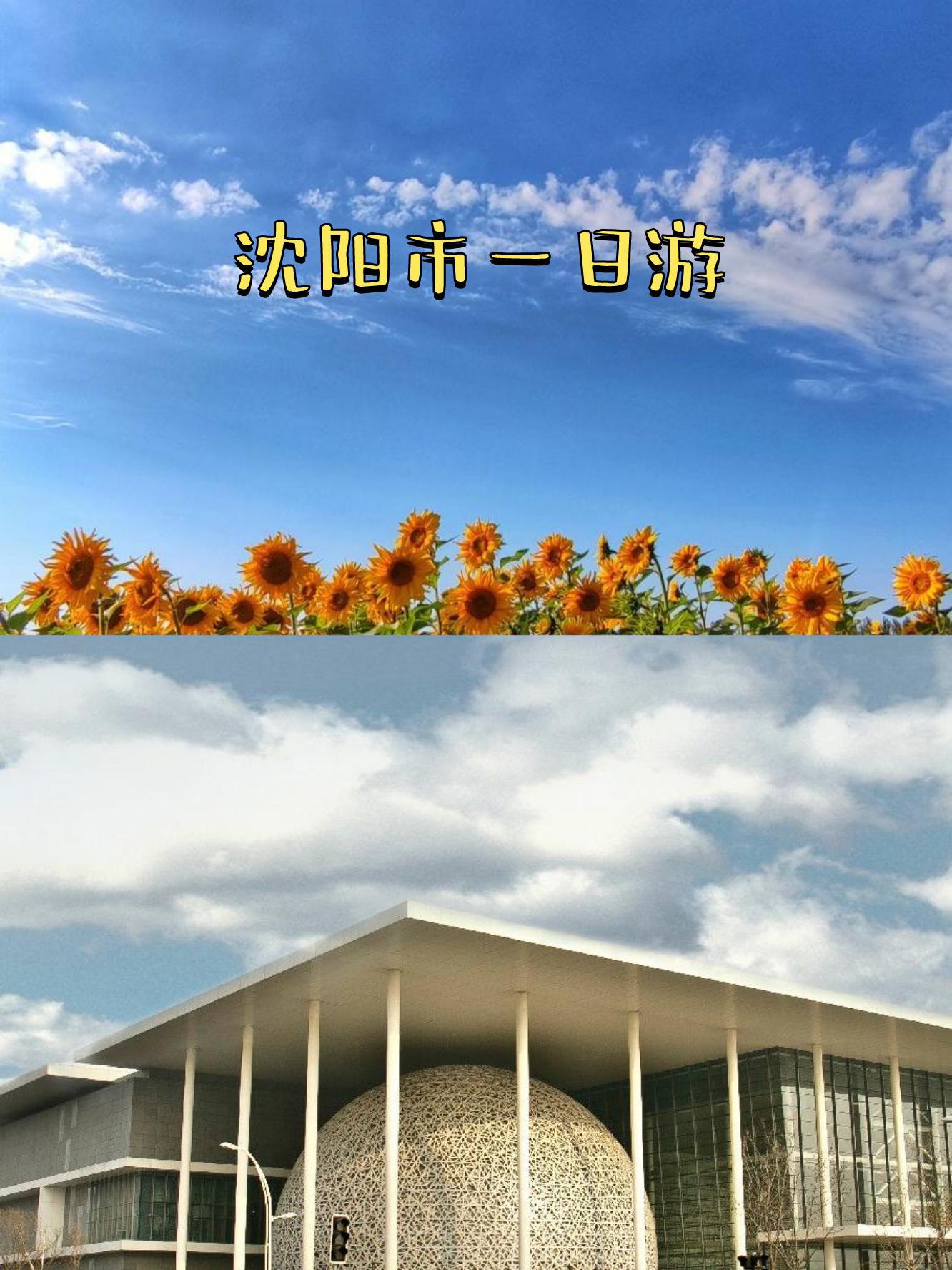 关于辽宁沈阳沈北负于东北和美,一场失利的信息 关于辽宁沈阳沈北负于东北和美,一场失利的信息