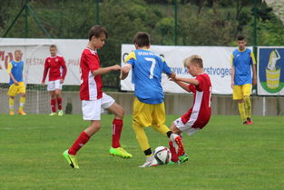 od体育登录-欧洲足球豪强对决，观众期待星火燎原，欧洲杯豪门球队