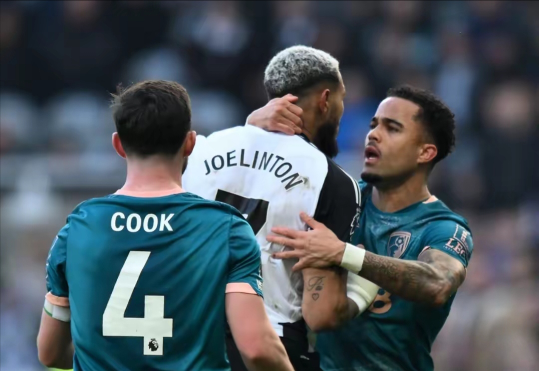 伯恩茅斯主场小胜卡迪夫城,取得主场关键的简单介绍 伯恩茅斯主场小胜卡迪夫城,取得主场关键的简单介绍